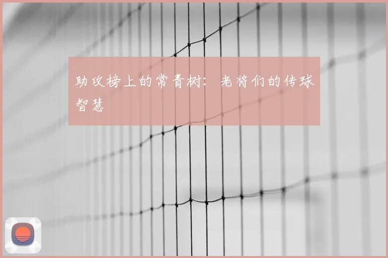 助攻榜上的常青树：老将们的传球智慧
